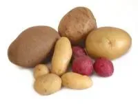 Картофель столовый