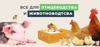 Линия кормления для индюка, кормушки